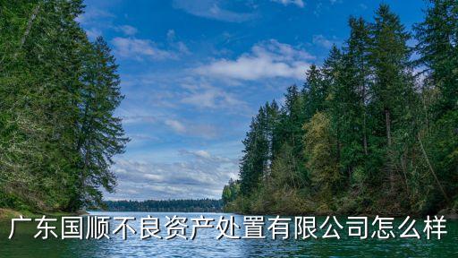 廣東國順不良資產處置有限公司怎么樣
