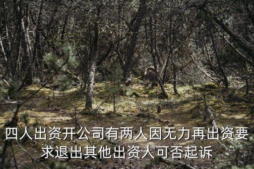 四人出資開公司有兩人因無力再出資要求退出其他出資人可否起訴