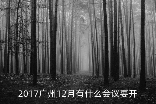 2017廣州即將舉行什么，2017廣州12月有什么會議要開
