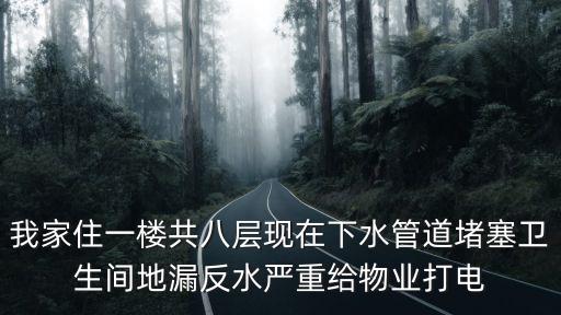 廣州下水道從1樓堵到8樓，我家住一樓共八層現在下水管道堵塞衛生間地漏反水嚴重給物業打電