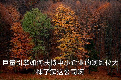 廣州巨量企業(yè)管理有限公司，廣州有哪些大型企業(yè)啊