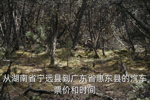 從湖南省寧遠縣到廣東省惠東縣的汽車票價和時間