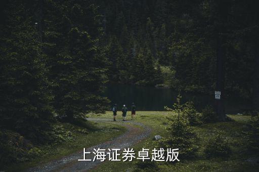 上海證券卓越版
