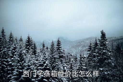 西門子蒸箱，西門子電蒸箱和微波爐的特點