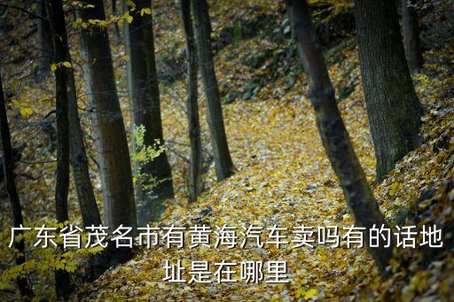 廣東省茂名市有黃海汽車賣嗎有的話地址是在哪里