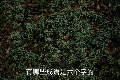 有哪些成語是六個字的
