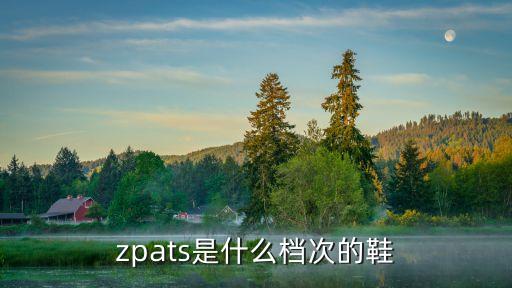 zpats是什么檔次的鞋