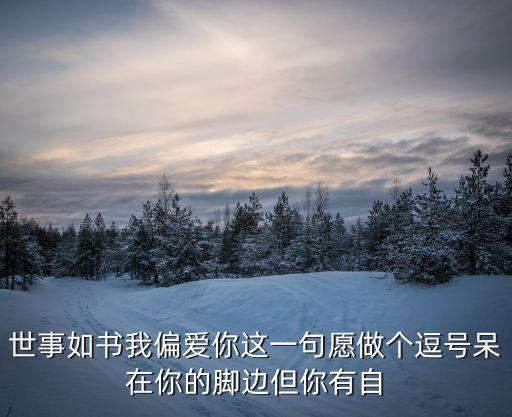 我偏愛你，世事如書我偏愛你這一句愿做個逗號呆在你腳邊但你有自己