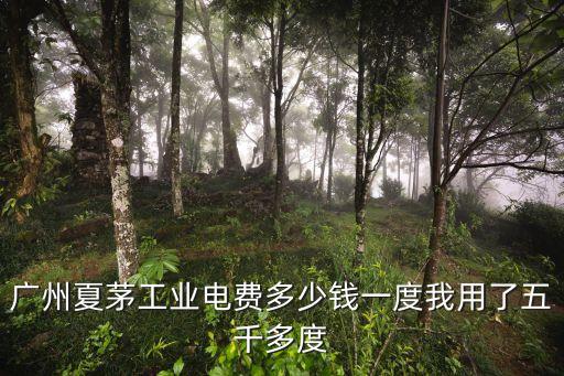 廣州夏茅工業(yè)電費(fèi)多少錢一度我用了五千多度