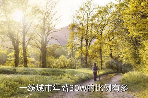 一線城市年薪30W的比例有多