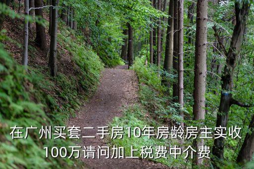 在廣州買套二手房10年房齡房主實(shí)收100萬請(qǐng)問加上稅費(fèi)中介費(fèi)