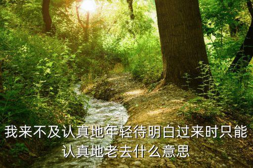 認真地老去，我來不及認真地年輕待明白過來時只能認真地老去什么意思