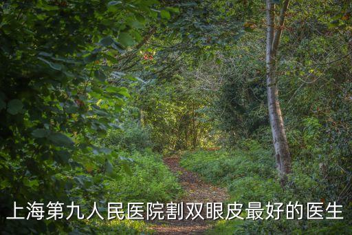 上海第九人民醫院割雙眼皮最好的醫生