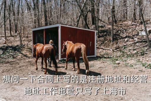合同約定簽訂地為上海市，勞動合同工作地點寫的是上海