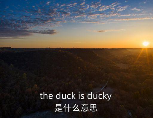 the duck is ducky是什么意思