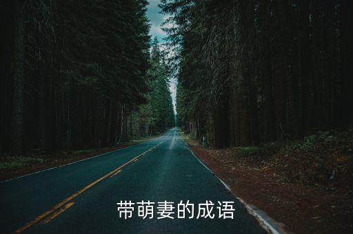 妻的成語，妻字開頭 成語