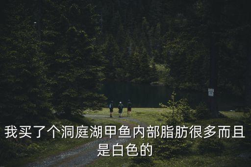 洞庭湖甲魚，我買了個洞庭湖甲魚內部脂肪很多而且是白色的