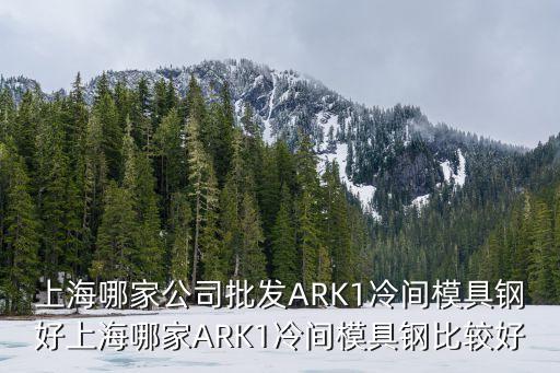 上海哪家公司批發ARK1冷間模具鋼好上海哪家ARK1冷間模具鋼比較好