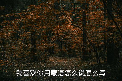 喜歡你藏語(yǔ)版，前段時(shí)間比較流行的一首藏語(yǔ)歌女的唱的
