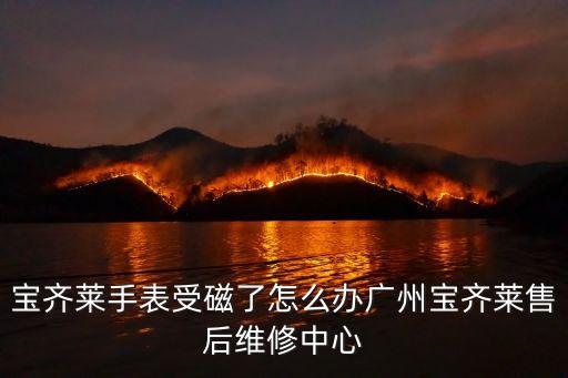寶齊萊手表受磁了怎么辦廣州寶齊萊售后維修中心