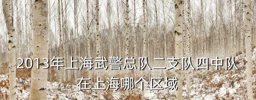 2013年上海武警總隊二支隊四中隊在上海哪個區域