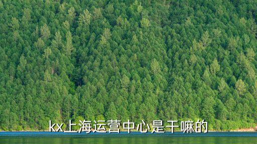 上海市物聯(lián)網(wǎng)運(yùn)營中心，上海市金山區(qū)石化衛(wèi)零北路568號恒信通訊大廈14樓瑞鑫百貨旁