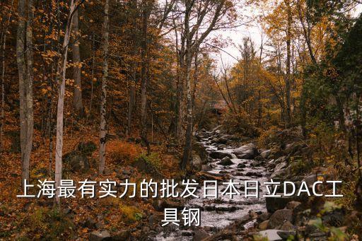 上海市通用鋁箍優質商家，上海最有實力的批發日本日立DAC工具鋼
