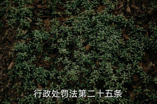 行政處罰法全文，行政處罰法第二十五條