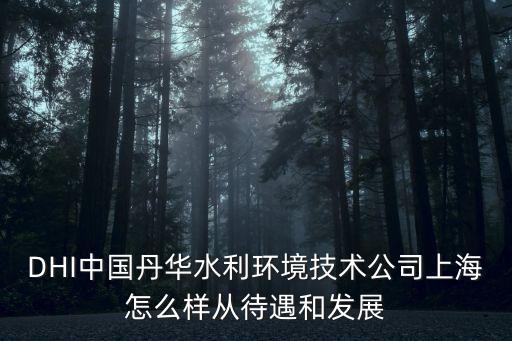 DHI中國丹華水利環境技術公司上海怎么樣從待遇和發展