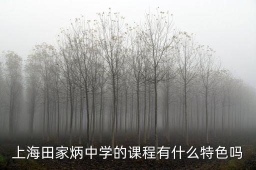 上海田家炳中學(xué)的課程有什么特色嗎