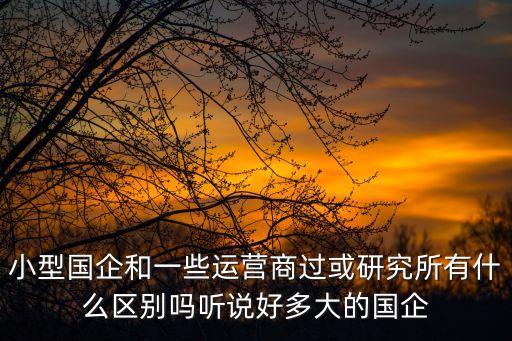 小型國企和一些運營商過或研究所有什么區別嗎聽說好多大的國企
