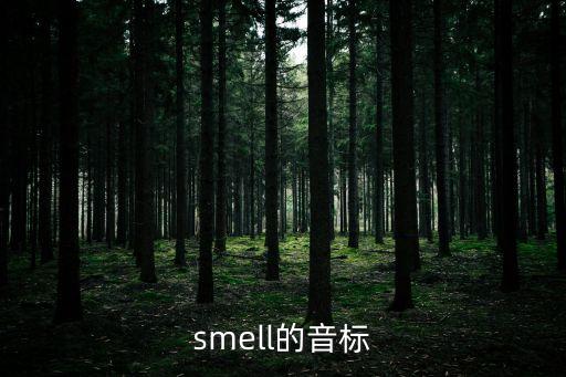 smell的音標