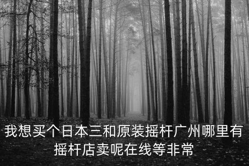 廣州搖桿店鋪，廣州那里有diy搖桿比較好點的