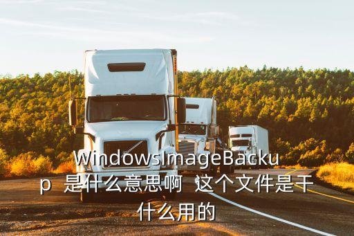 windowsimagebackup，windowsimagebackup文件如何使用