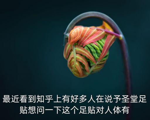 最近看到知乎上有好多人在說予圣堂足貼想問一下這個足貼對人體有