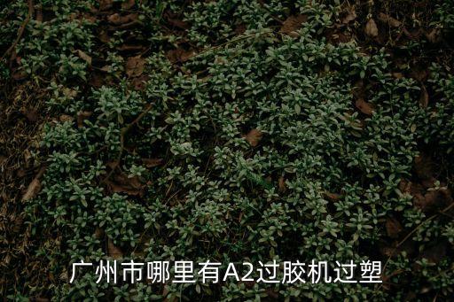 廣州印刷過膠覆膜機，廣州市哪里有A2過膠機過塑