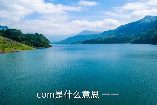 com的意思，Com中文是什么意思