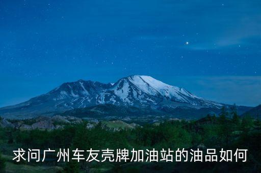 廣州永泰殼牌加油站，求問廣州車友殼牌加油站的油品如何