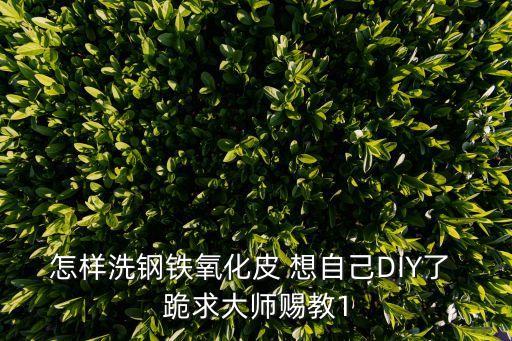 去氧化皮，怎樣洗鋼鐵氧化皮 想自己DIY了 跪求大師賜教1