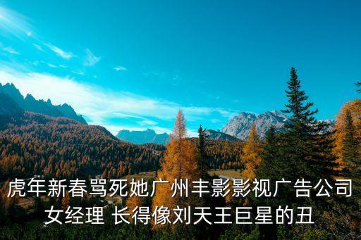 虎年新春罵死她廣州豐影影視廣告公司女經理 長得像劉天王巨星的丑