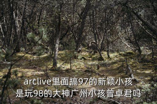 arclive里面搞97的新穎小孩是玩98的大神廣州小孩曾卓君嗎