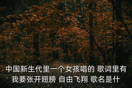 我要自由飛翔，中國新生代里一個女孩唱的 歌詞里有我要張開翅膀 自由飛翔 歌名是什
