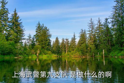 上海市松浦大橋武警九中隊(duì)，上海武警第九支隊(duì) 是做什么的啊