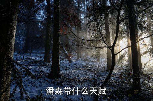 潘森符文，潘森符文