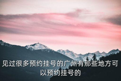 114廣州預(yù)約掛號(hào)平臺(tái)，114掛號(hào)網(wǎng)上預(yù)約請(qǐng)問(wèn)我進(jìn)那個(gè)網(wǎng)站掛
