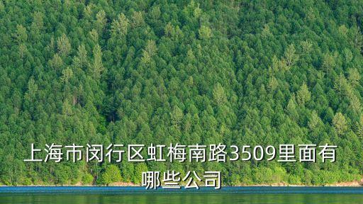 上海市閔行區虹梅南路3509里面有哪些公司
