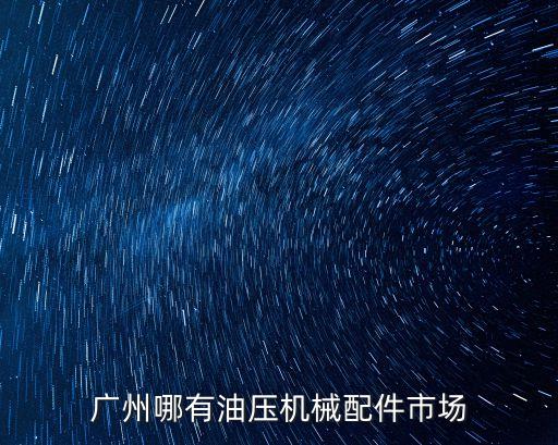 廣州液壓油缸配件，廣州市挖掘機 推土機 裝載機 破碎器 銷售液壓油缸修理包 密封件 等