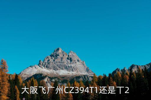 大阪飛廣州CZ394T1還是丅2