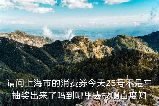 請問上海市的消費券今天25號不是車抽獎出來了嗎到哪里去找啊百度知