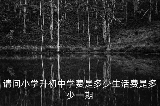 廣州康樂(lè)中學(xué)小升初學(xué)費(fèi)，現(xiàn)在小升初一學(xué)期學(xué)費(fèi)多少錢(qián)